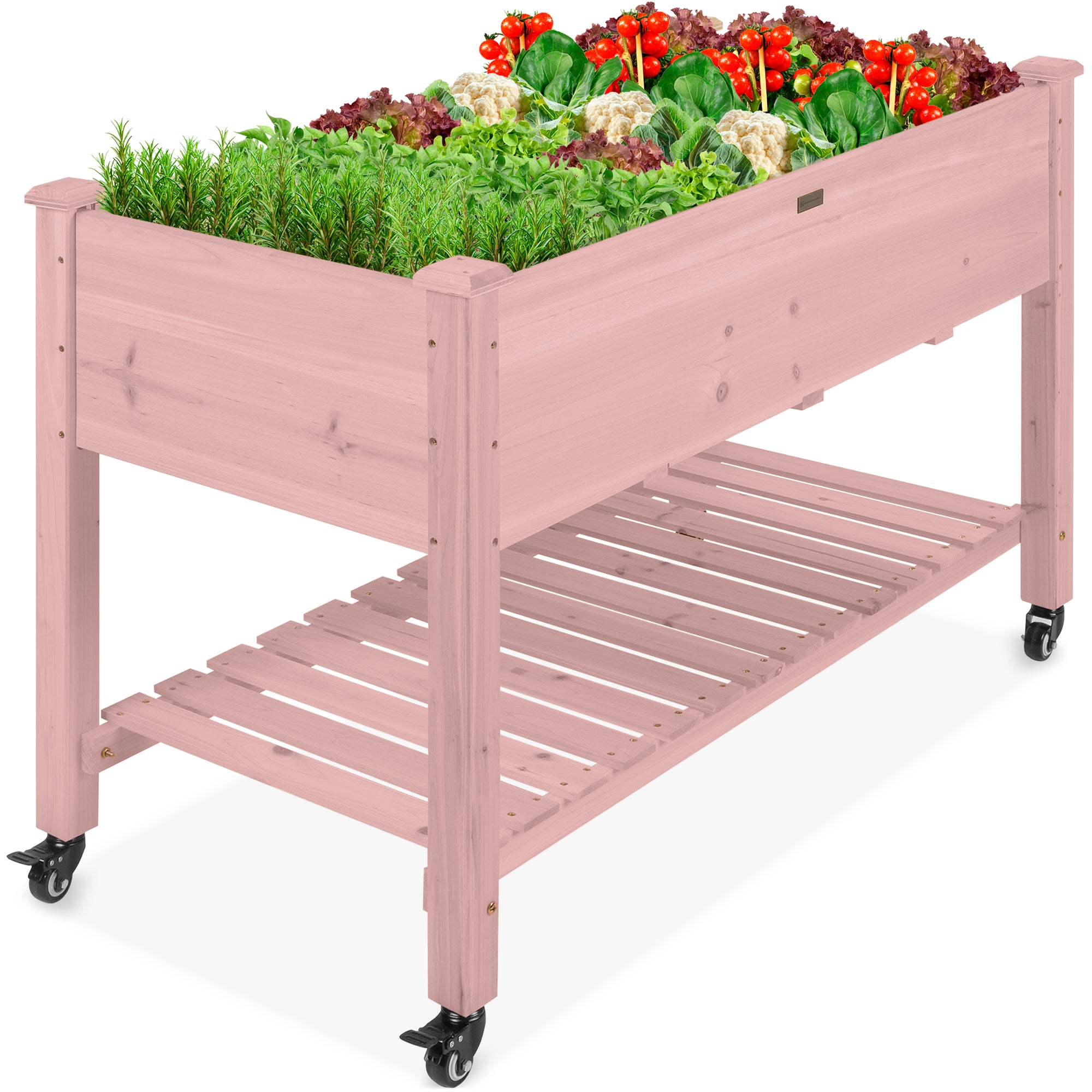 Mobile Elevated Planter | Best Choice Products