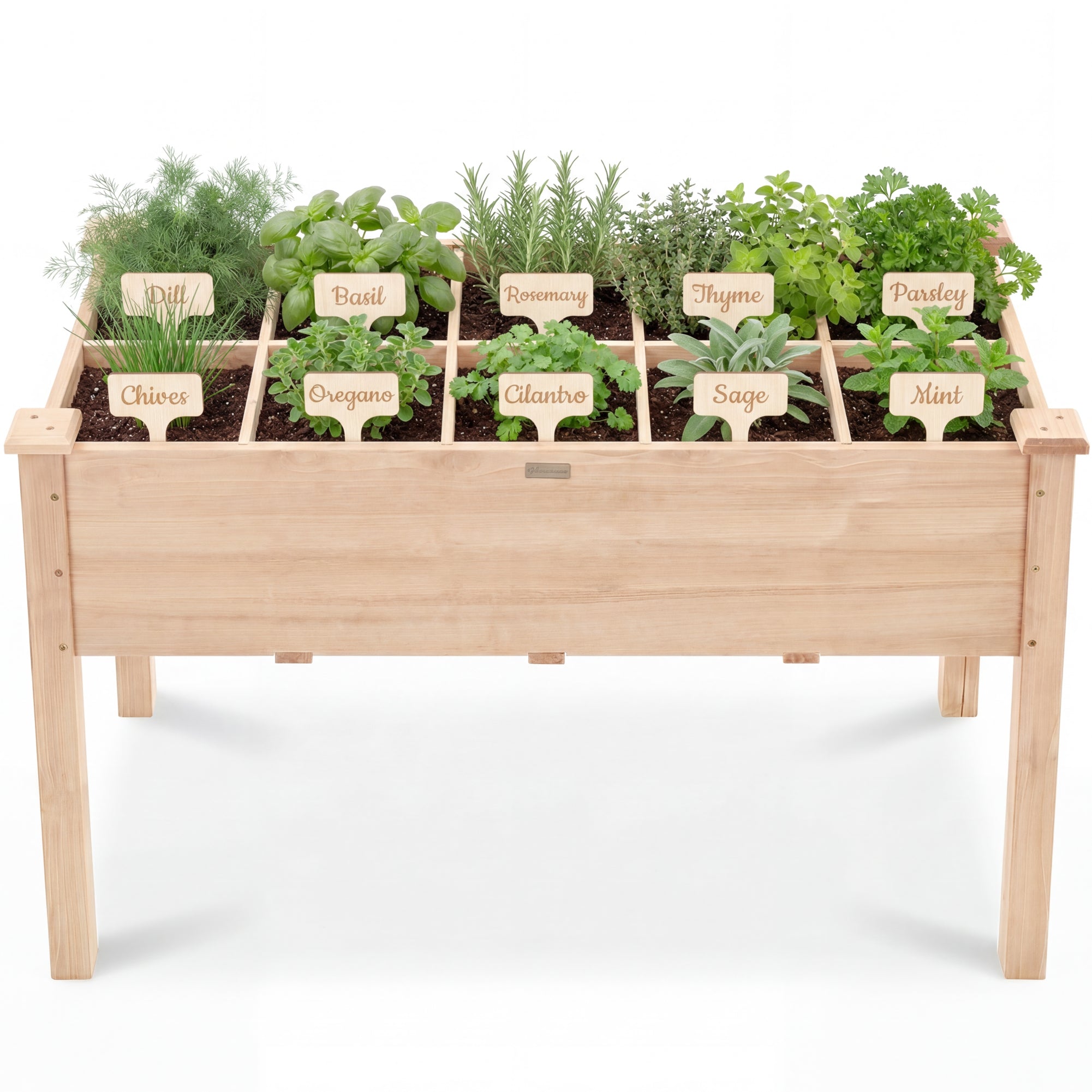 Raised Garden Bed Planter Box with 10 Grid Sections – Best Choice Products