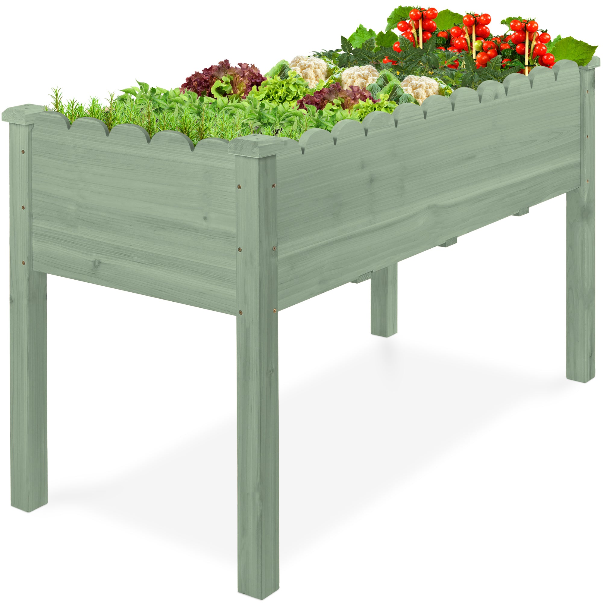 raised planter pots Raised Garden Bed, Scalloped Elevated Wooden Planter Box