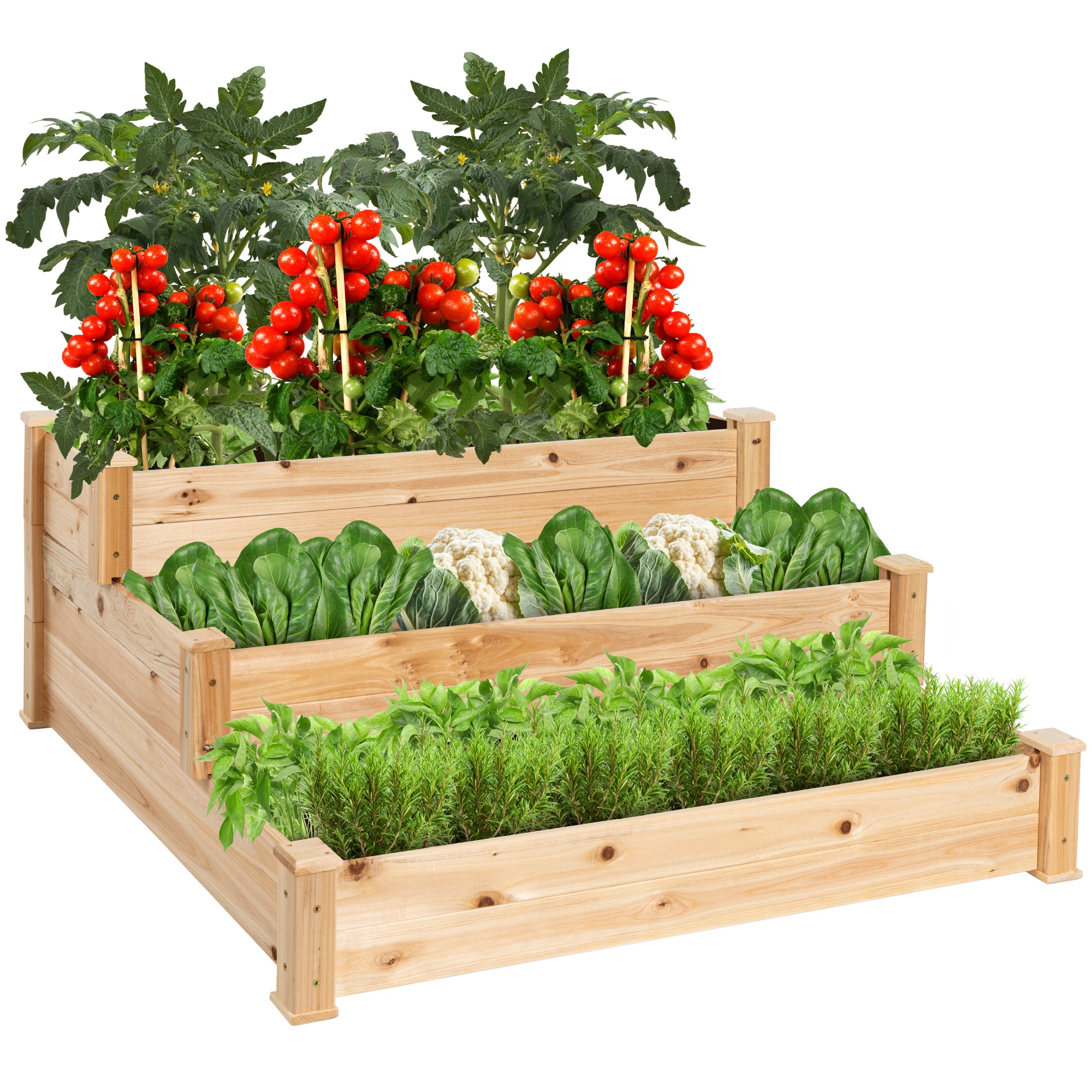 3 tier planter indoor Garden Planter 3-Tier