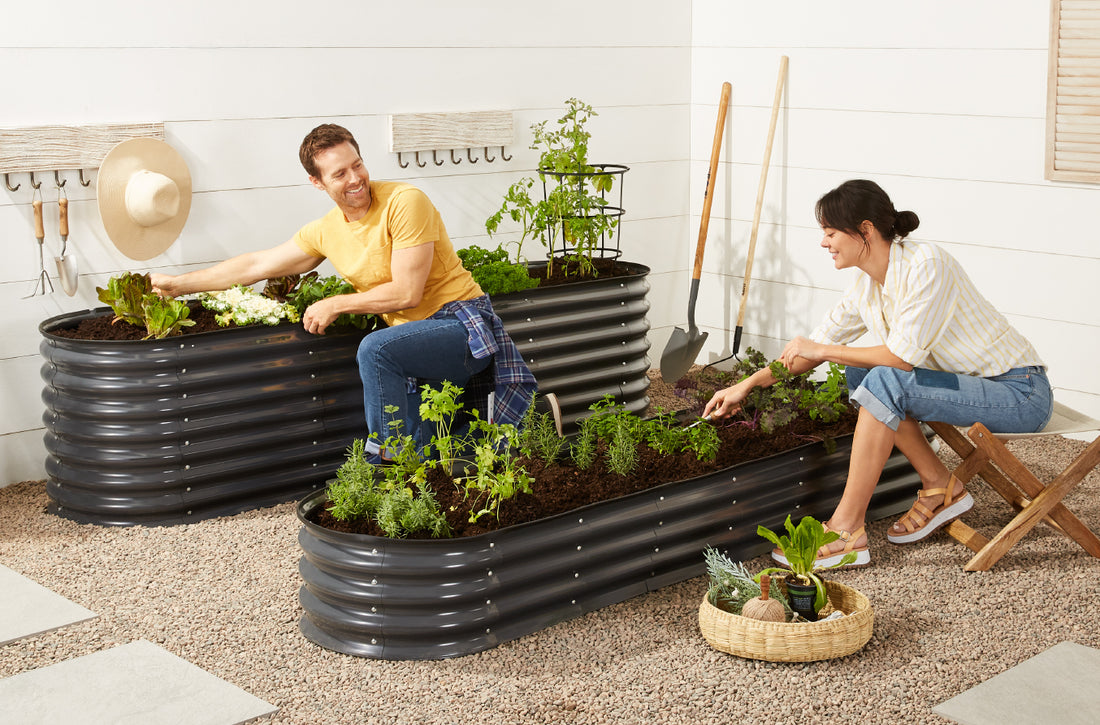 Zoning: Why It Matters for Your Garden