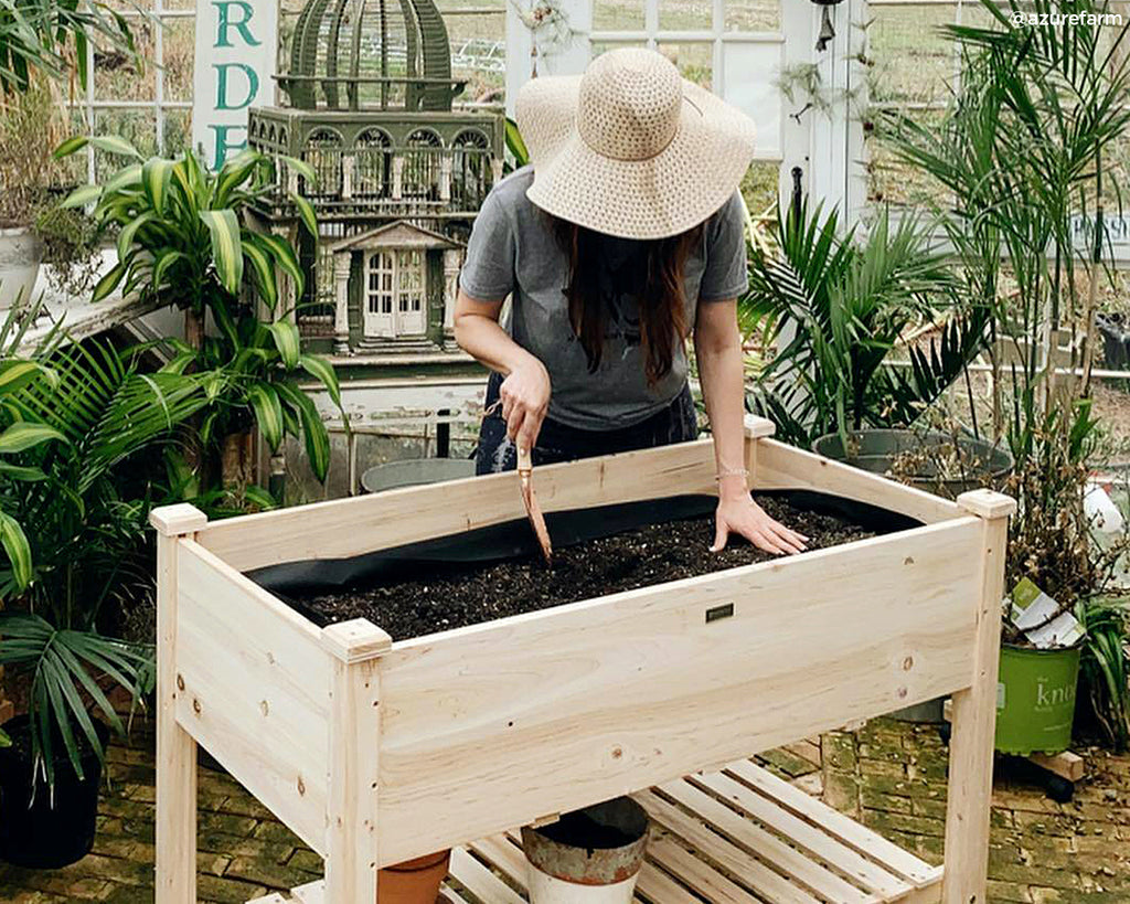 The Gift of Greenery: How Box Gardens Can Make your Mother’s Day
