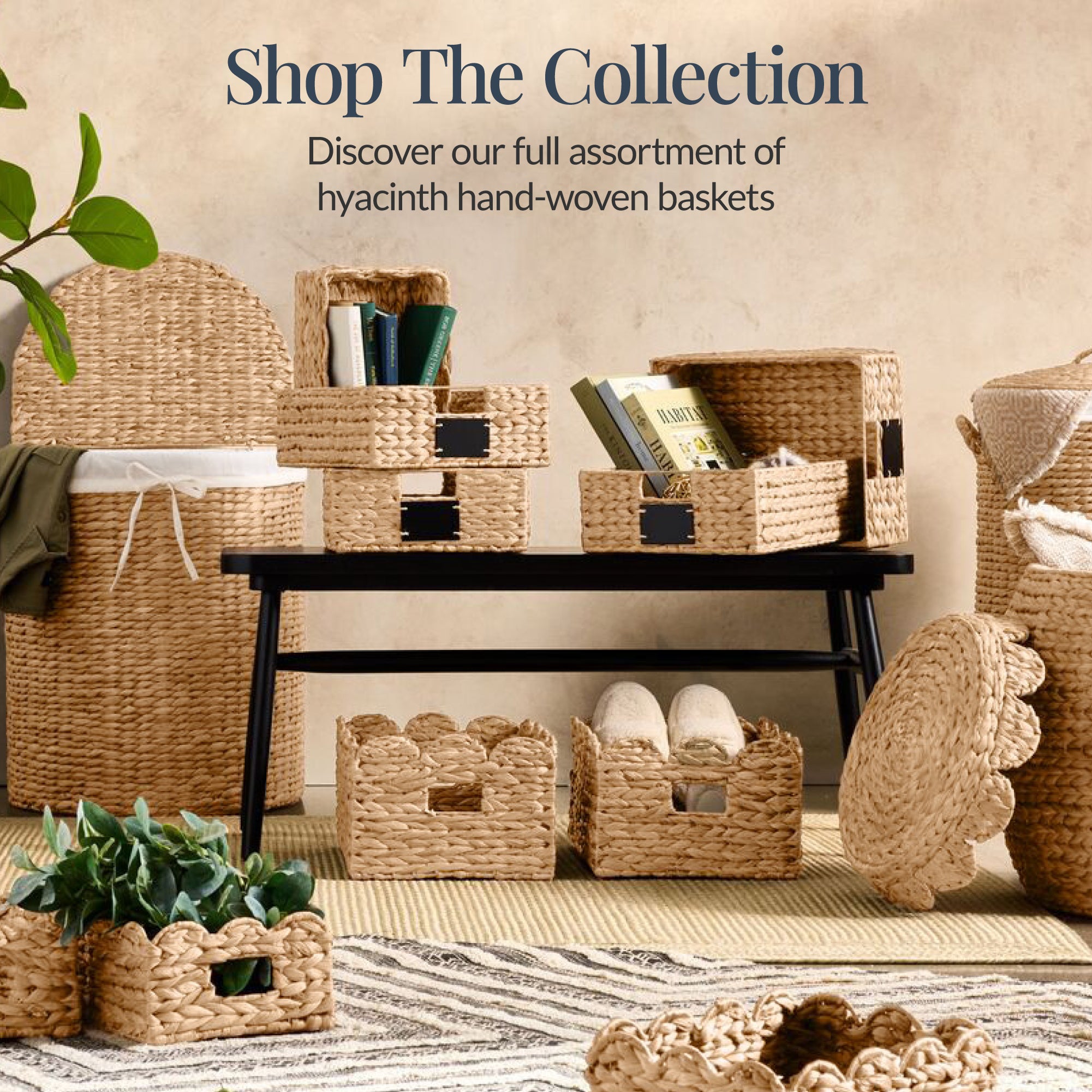 9x12 Scalloped Shelf Basket, Pantry Bins, 4 Pack