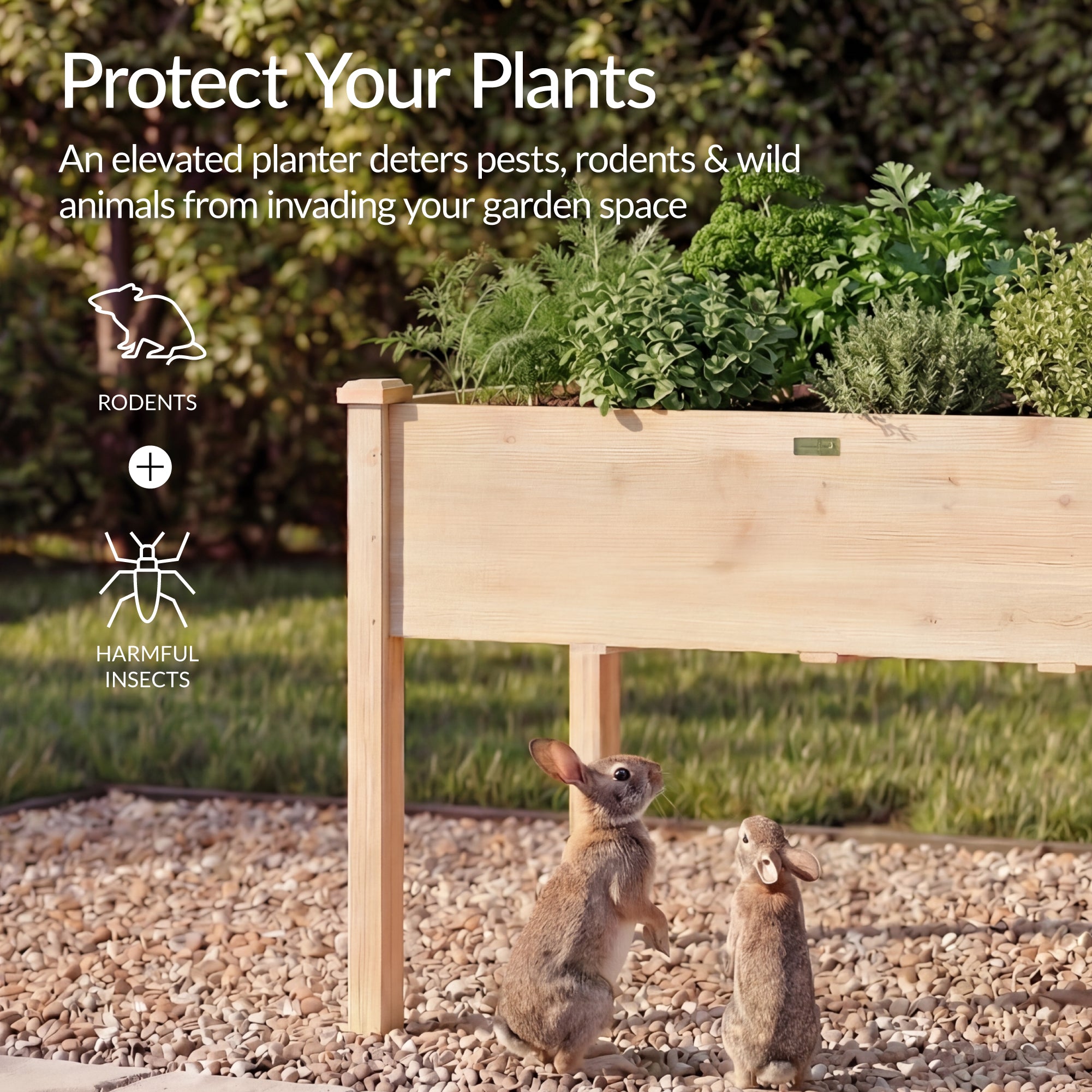 Raised Garden Bed Planter Box with 10 Grid Sections – Best Choice