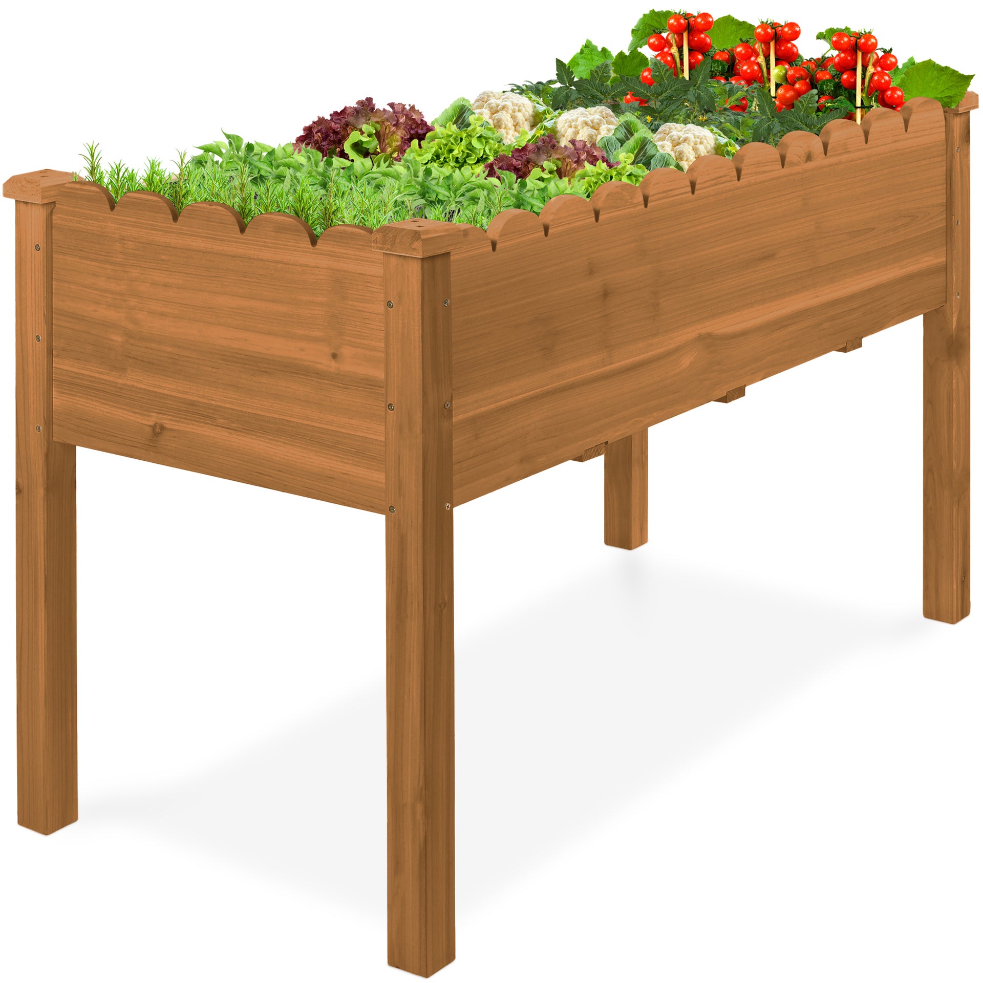Raised Garden Bed, Scalloped Elevated Wooden Planter Box