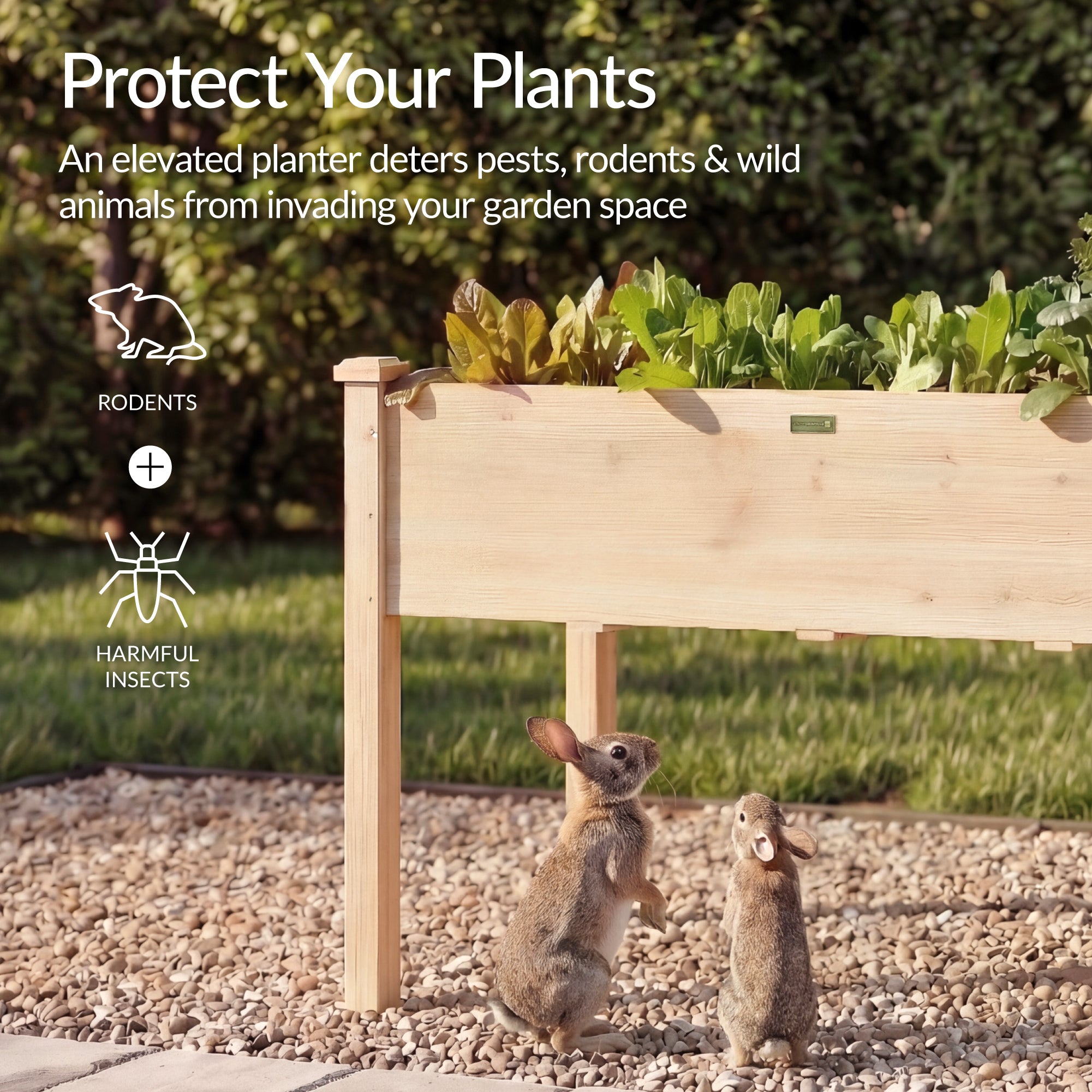Raised Garden Bed, Elevated Wooden Planter Box w/ Foot Caps - 48x24x30in