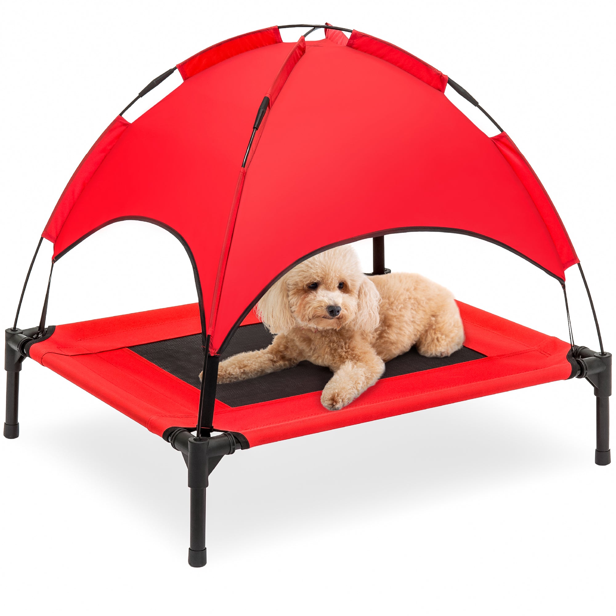 Raised dog fashion bed with canopy