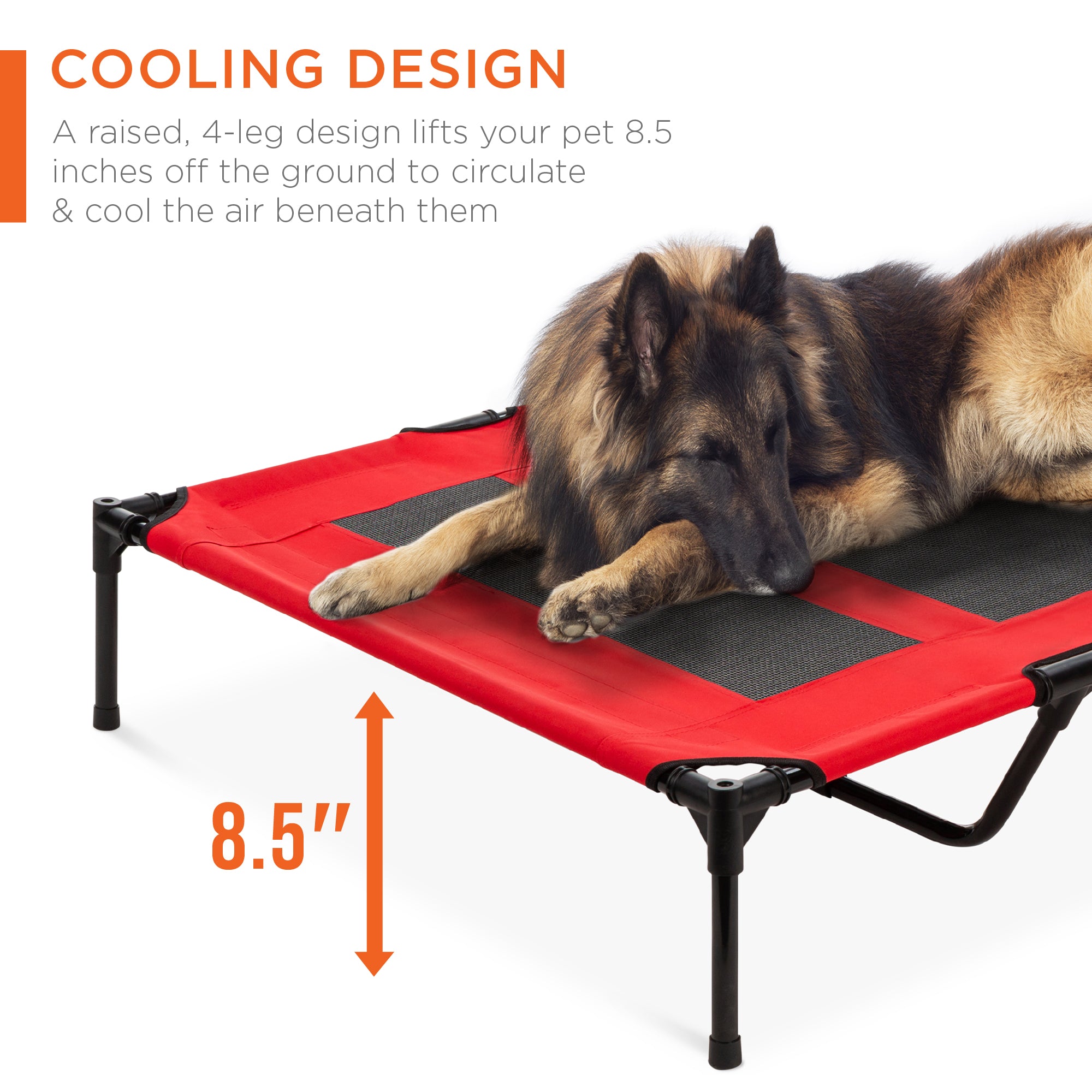 Elevated Cooling Dog Bed, Outdoor Pet Cot w/ Canopy, Carry Bag - 48in