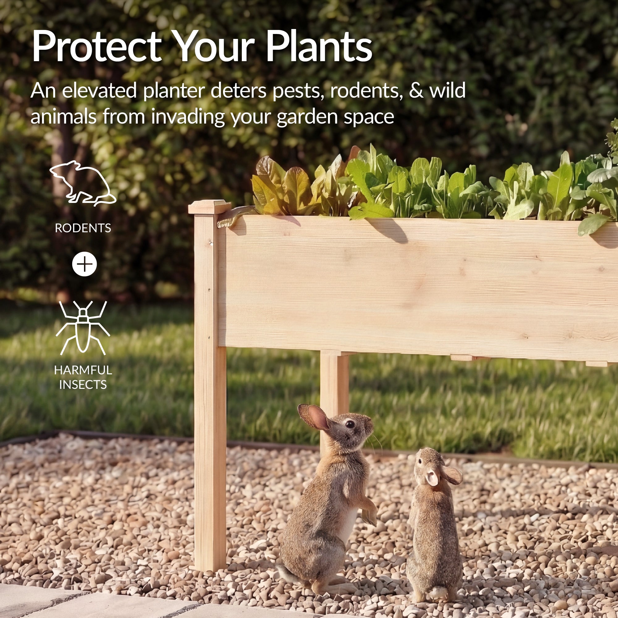 Raised Garden Bed, Elevated Wood Garden Planter Stand - 72x24x30in