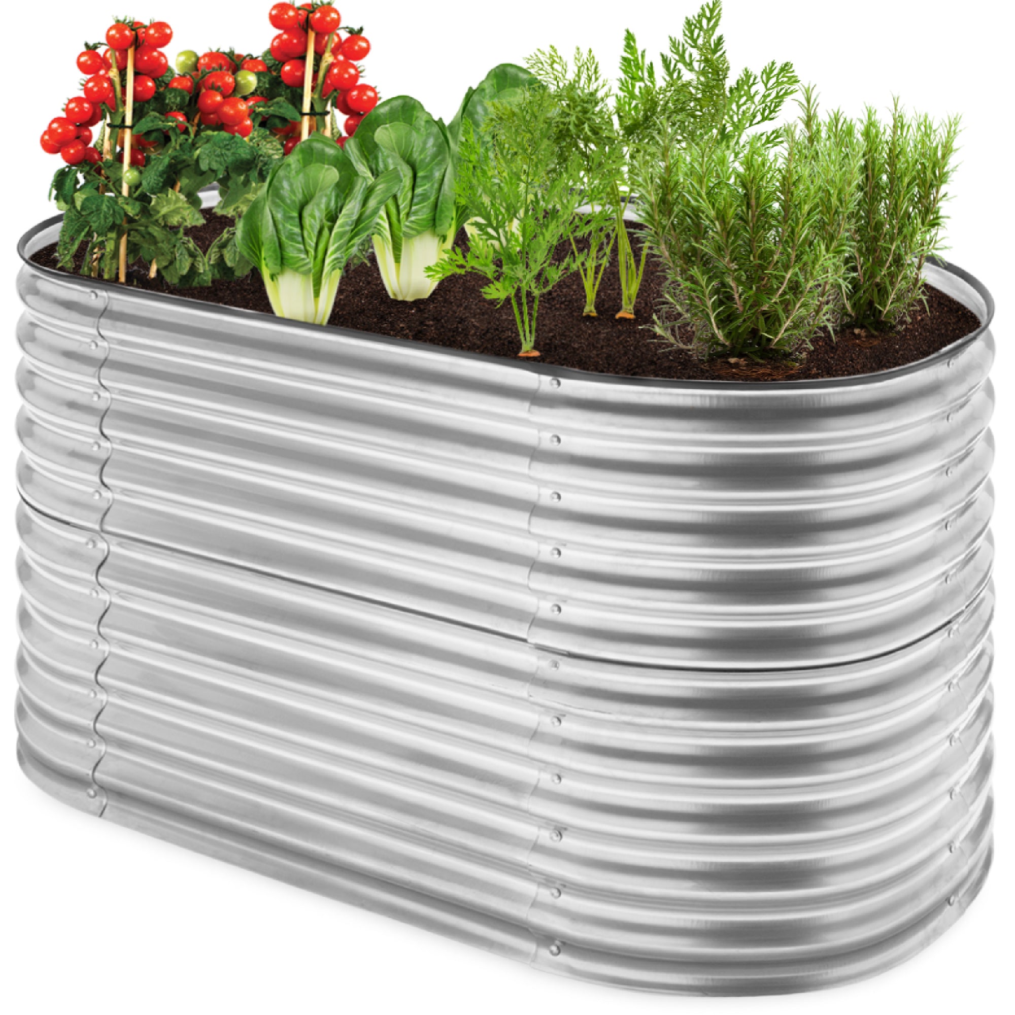 Raised Oval Garden Bed, Customizable Elevated Outdoor Metal