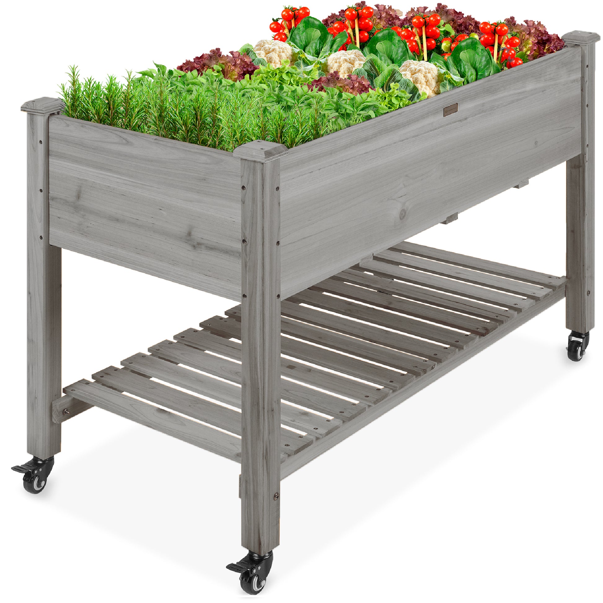 Mobile Raised Garden Bed Elevated Planter w/ Wheels, Shelf - 48x24x32in