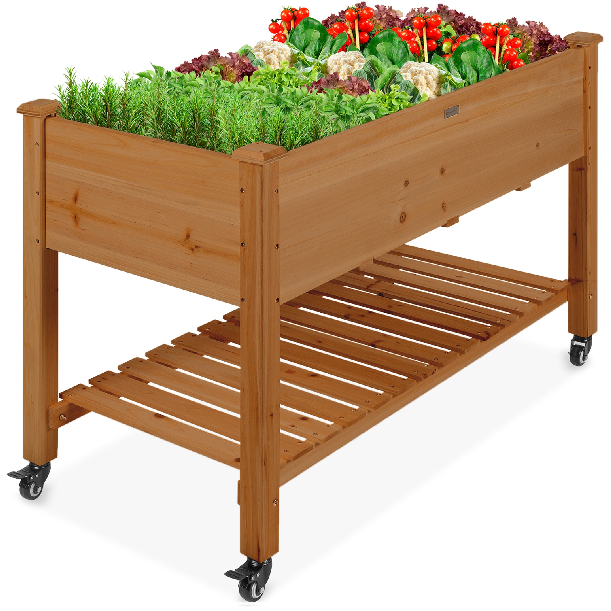 Mobile Raised Garden Bed Elevated Planter w/ Wheels, Shelf - 48x24x32in
