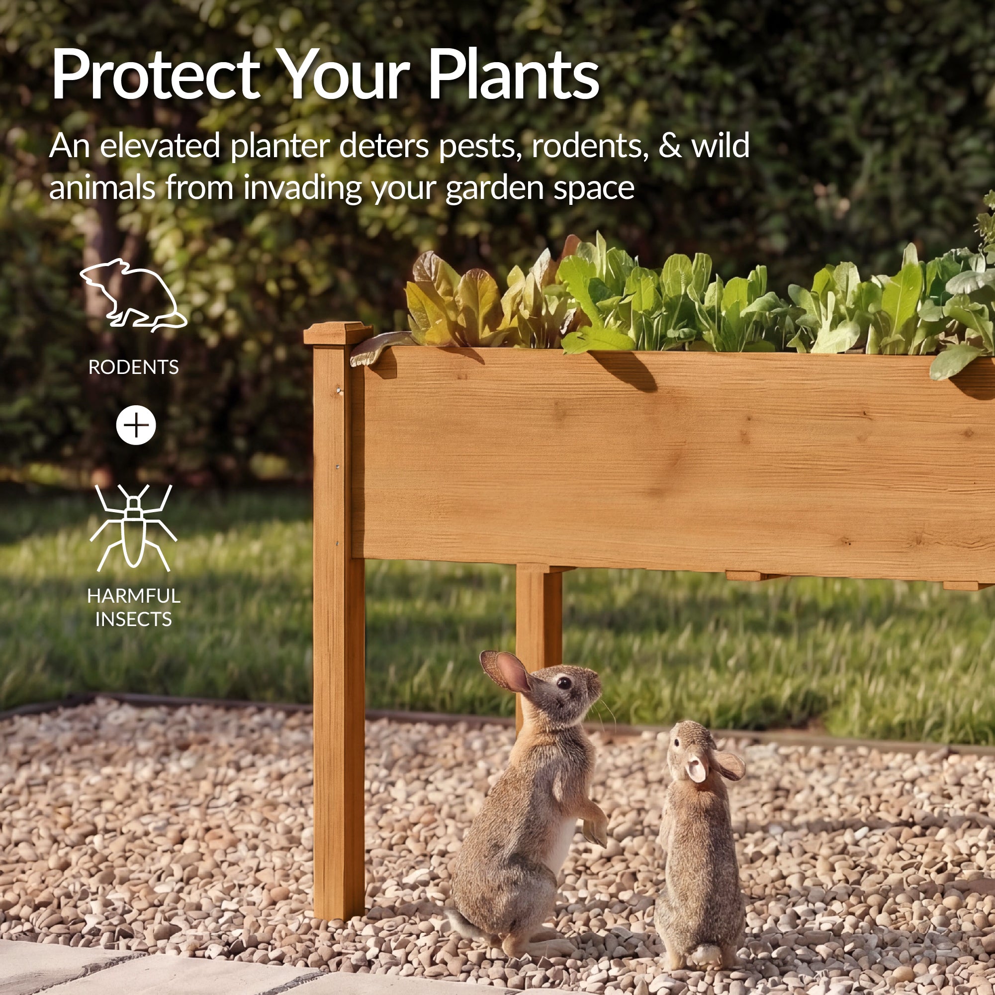 Raised Garden Bed, Elevated Wood Garden Planter Stand - 72x24x30in