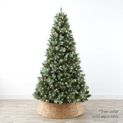 Frosted Sugar Pine® Tree - Adjustable Christmas Trees