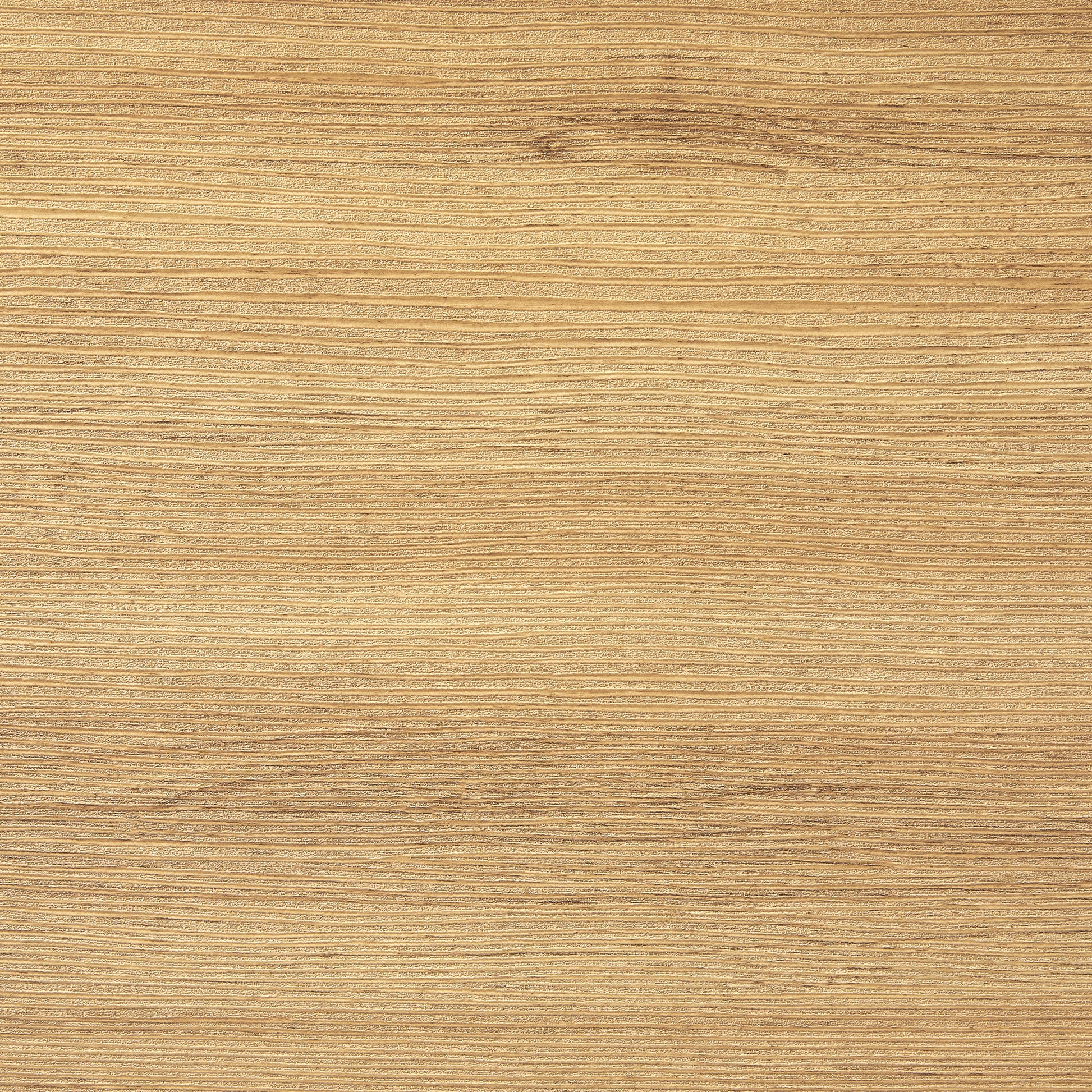 gid://shopify/ProductVariant/43621838913722|SKY7312|SKY7312LRG-8.jpg?RLKEY=6298CNACKR7ZGE8IS723JKK17&DL=0