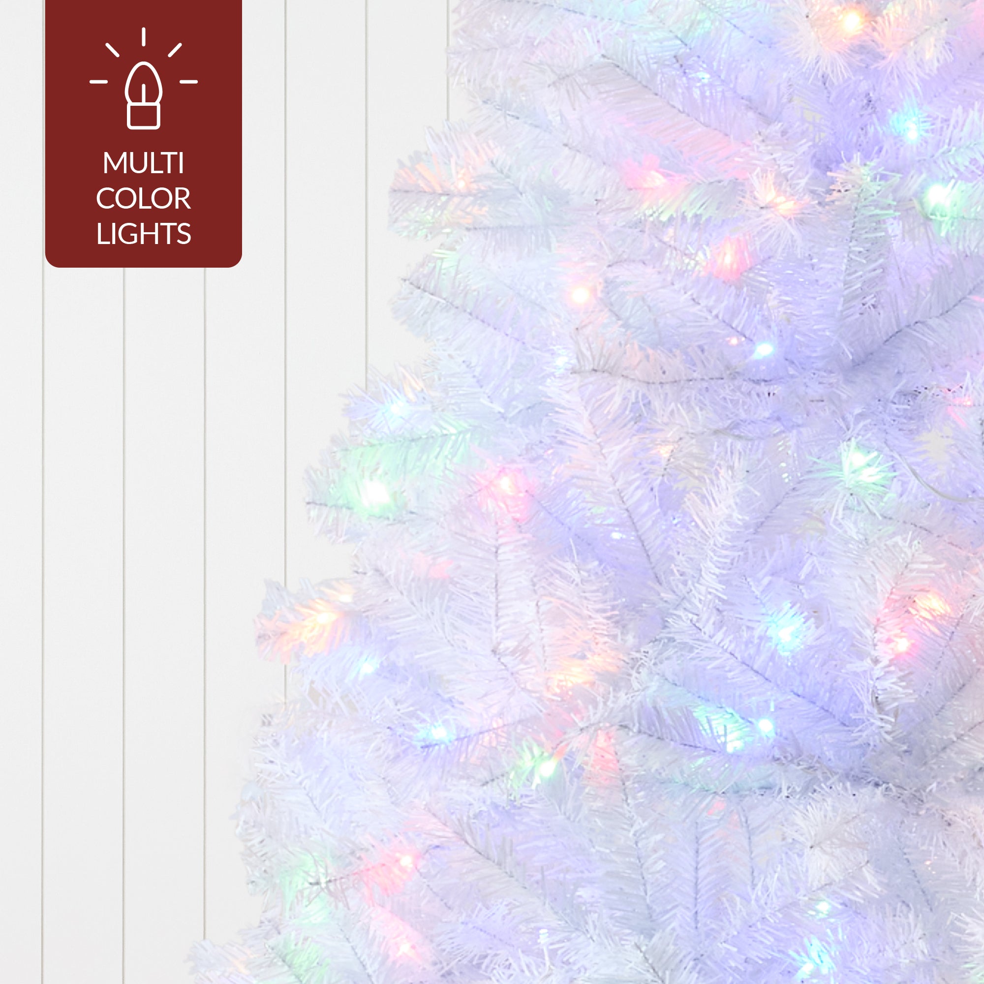 mai☆*:.。 For Display - BGS 10 Black Label Ephemeral Existence Mai TD