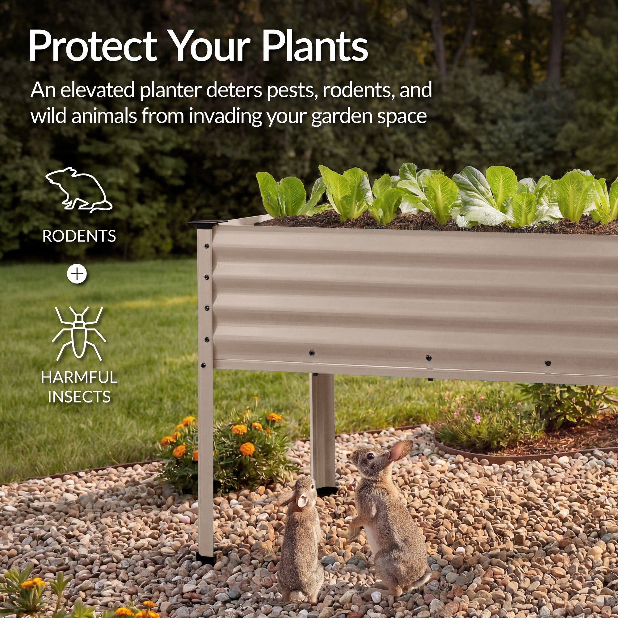 Elevated Galvanized Metal Garden Bed w/ Corner Protectors - 48x24x30in