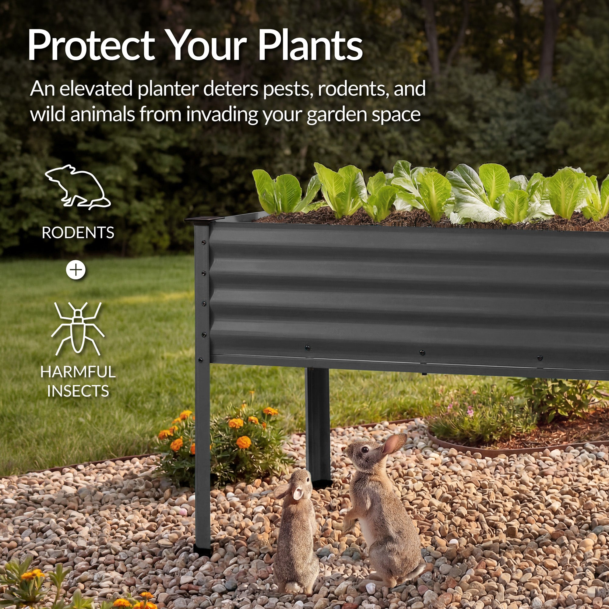 Elevated Galvanized Metal Garden Bed w/ Corner Protectors - 48x24x30in