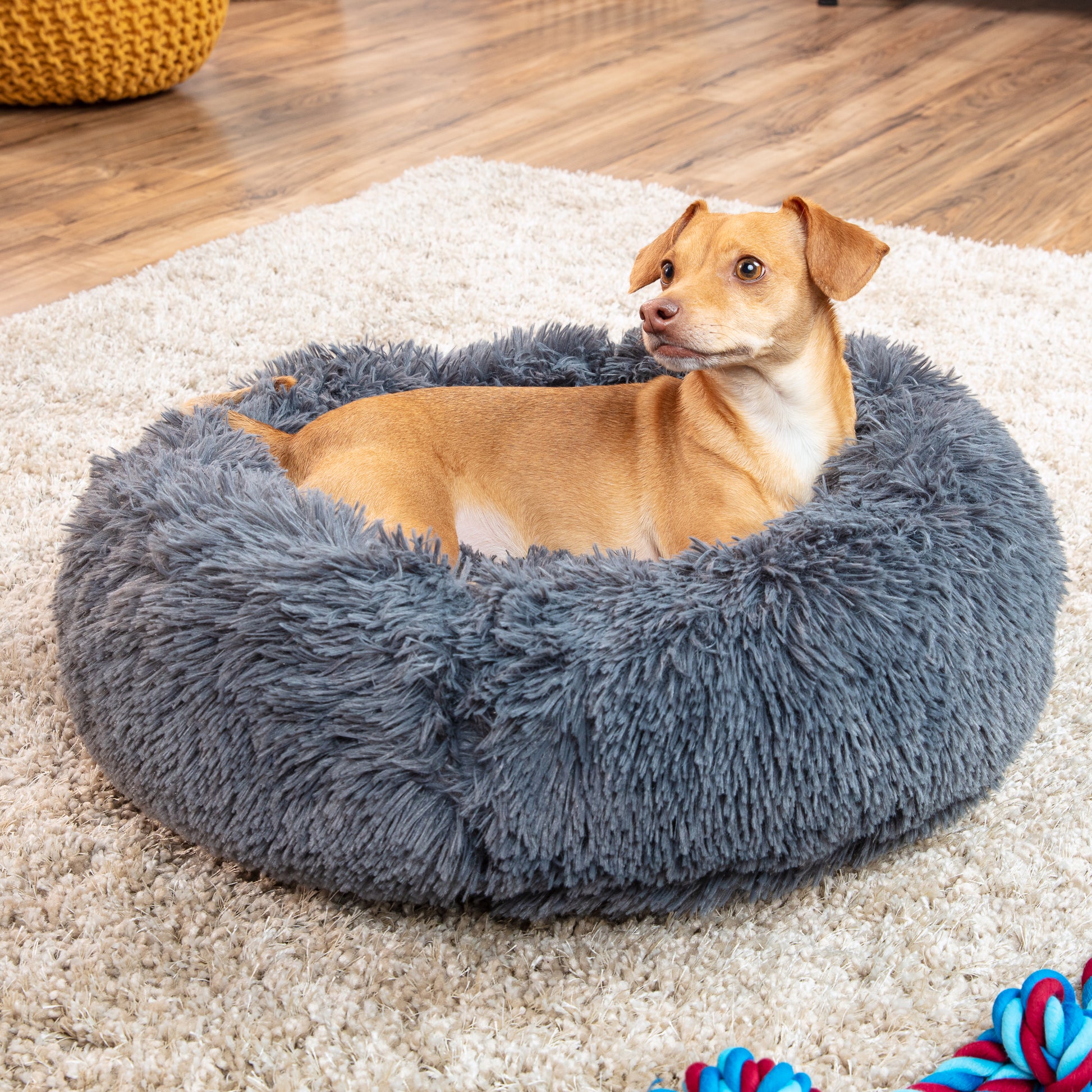 Furhaven 18-Inch Round Teacup Dog Bed - Minky Plush & Velvet Hug Nest, Washable, Aquamarine, For Small Dogs & Cats