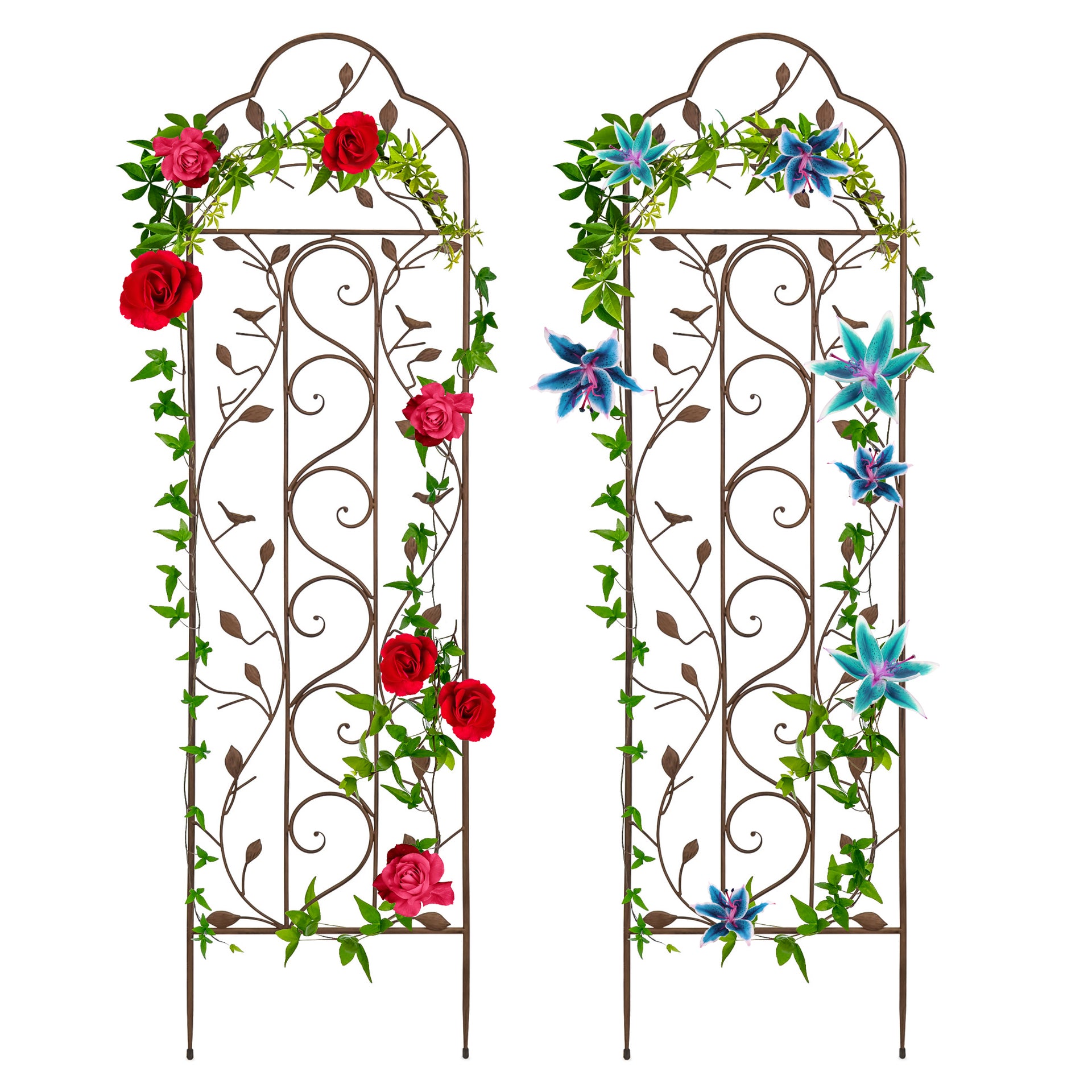 Set 2 Iron Arched Garden Trellis